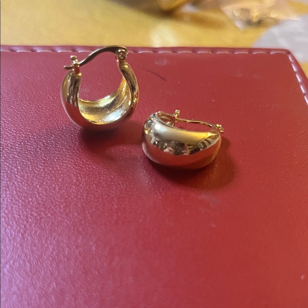 Elegant Gold Hoop Earrings